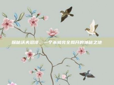 探秘沃夫沼泽，一个未被完全揭开的神秘之地