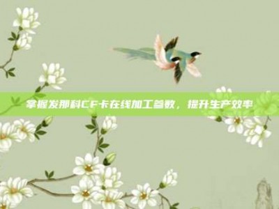 掌握发那科CF卡在线加工参数，提升生产效率