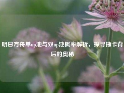 明日方舟单up池与双up池概率解析，探寻抽卡背后的奥秘