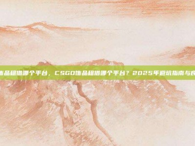 csgo饰品租借哪个平台，CSGO饰品租借哪个平台？2025年避坑指南与良心推荐