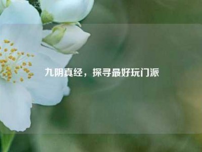 九阴真经，探寻最好玩门派