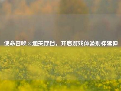 使命召唤 8 通关存档，开启游戏体验别样延伸