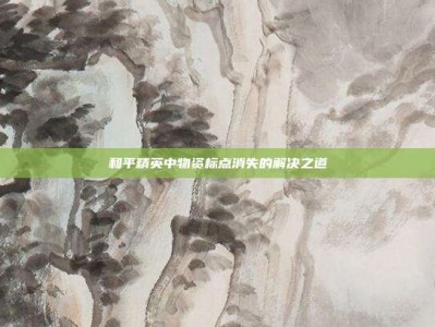 和平精英中物资标点消失的解决之道