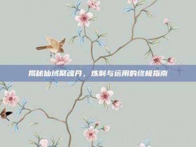 揭秘仙域聚魂丹，炼制与运用的终极指南