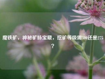 魔铁矿，神秘矿脉宝藏，挖矿等级需300还是275？