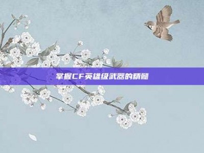 掌握CF英雄级武器的精髓