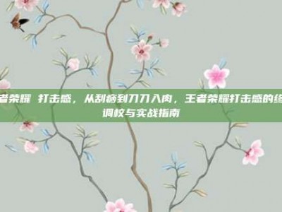 王者荣耀 打击感，从刮痧到刀刀入肉，王者荣耀打击感的终极调校与实战指南