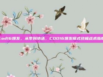 cod16爆发，从零到绝活，COD16爆发模式终极战术指南