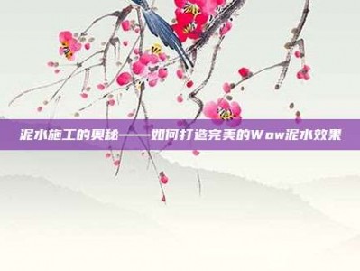 泥水施工的奥秘——如何打造完美的Wow泥水效果