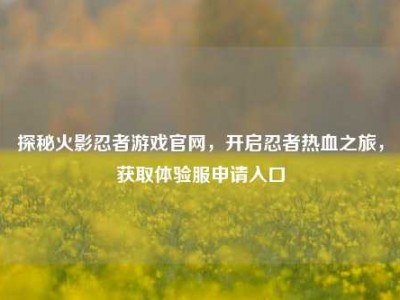 探秘火影忍者游戏官网，开启忍者热血之旅，获取体验服申请入口