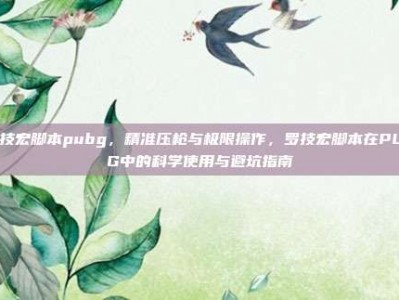 罗技宏脚本pubg，精准压枪与极限操作，罗技宏脚本在PUBG中的科学使用与避坑指南