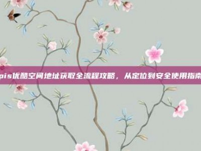 pis优酷空间地址获取全流程攻略，从定位到安全使用指南