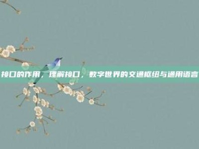 接口的作用，理解接口，数字世界的交通枢纽与通用语言