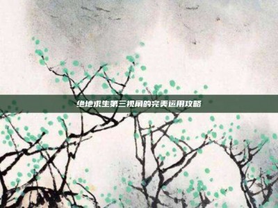 绝地求生第三视角的完美运用攻略