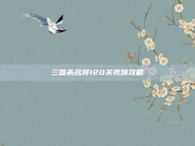 三国杀名将120关视频攻略