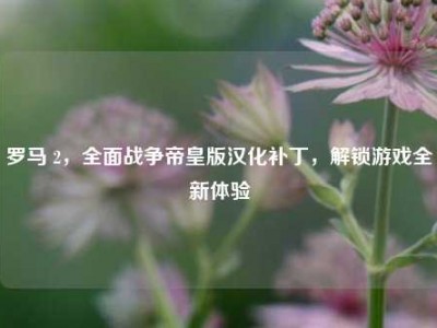 罗马 2，全面战争帝皇版汉化补丁，解锁游戏全新体验