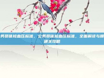 公务员体检血压标准，公务员体检血压标准，全面解读与顺利通关攻略