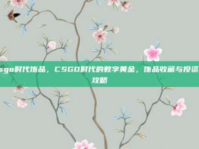 csgo时代饰品，CSGO时代的数字黄金，饰品收藏与投资全攻略