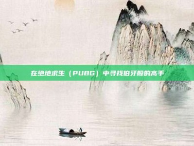 在绝地求生（PUBG）中寻找伯牙般的高手