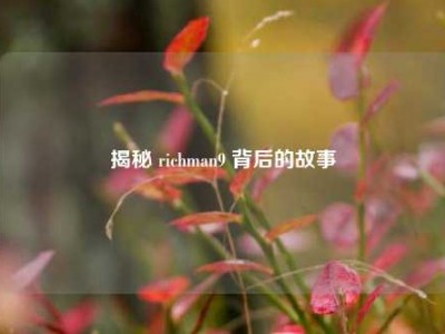 揭秘 richman9 背后的故事