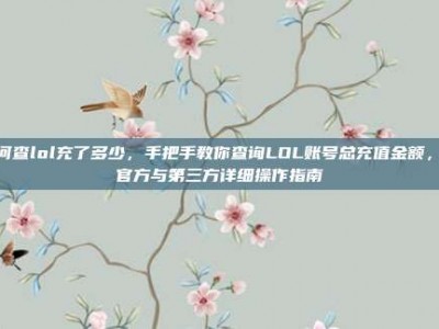 如何查lol充了多少，手把手教你查询LOL账号总充值金额，附官方与第三方详细操作指南