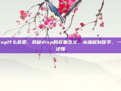 disp什么意思，揭秘disp的多重含义，从编程到医学，一文读懂