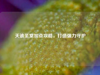 天谕圣堂加点攻略，打造强力守护