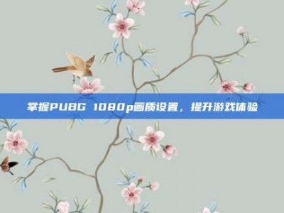掌握PUBG 1080p画质设置，提升游戏体验