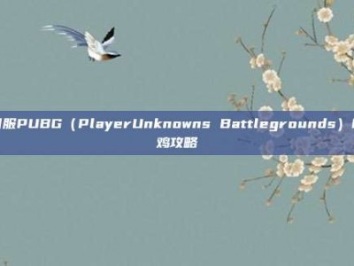 日服PUBG（PlayerUnknowns Battlegrounds）吃鸡攻略