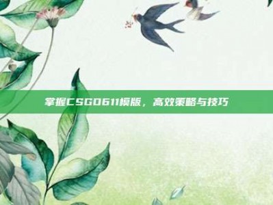 掌握CSGO611模版，高效策略与技巧