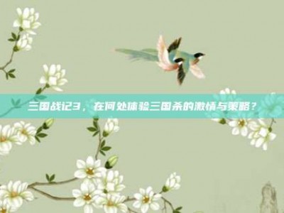 三国战记3，在何处体验三国杀的激情与策略？