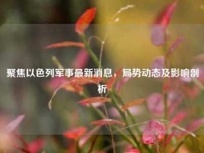 聚焦以色列军事最新消息，局势动态及影响剖析