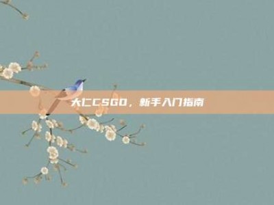 大仁CSGO，新手入门指南
