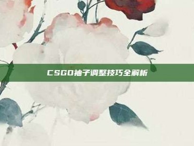 CSGO袖子调整技巧全解析