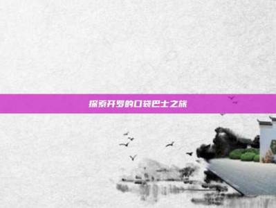 探索开罗的口袋巴士之旅