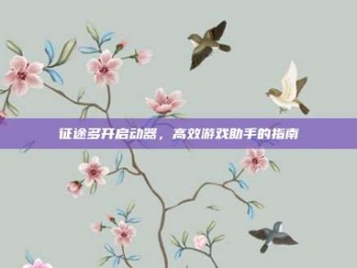 征途多开启动器，高效游戏助手的指南