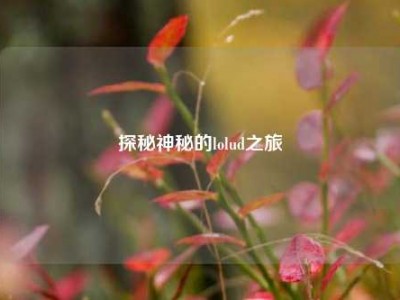 探秘神秘的lolud之旅