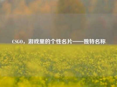 CSGO，游戏里的个性名片——独特名称