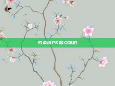 男柔道PK加点攻略