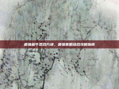 最强蜗牛混合方块，最强策略组合攻略指南