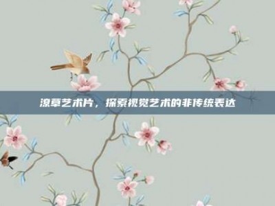 潦草艺术片，探索视觉艺术的非传统表达