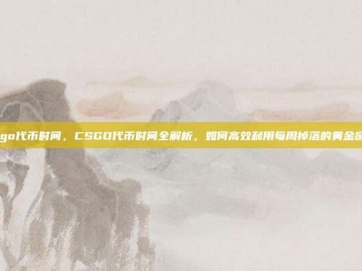 csgo代币时间，CSGO代币时间全解析，如何高效利用每周掉落的黄金窗口