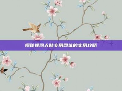 揭秘搜同大陆专用网址的实用攻略