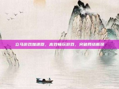 立马游戏加速器，高效畅玩游戏，突破网络瓶颈