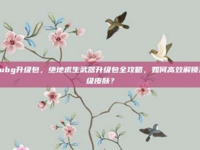 pubg升级包，绝地求生武器升级包全攻略，如何高效解锁满级皮肤？