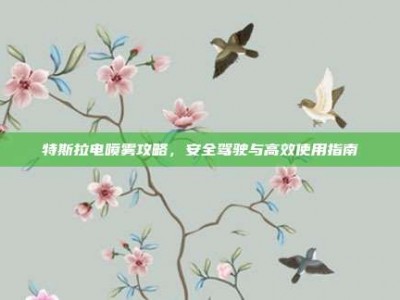 特斯拉电喷雾攻略，安全驾驶与高效使用指南