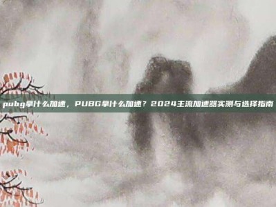 pubg拿什么加速，PUBG拿什么加速？2024主流加速器实测与选择指南