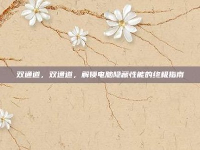 双通道，双通道，解锁电脑隐藏性能的终极指南