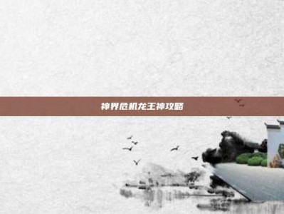 神界危机龙王神攻略