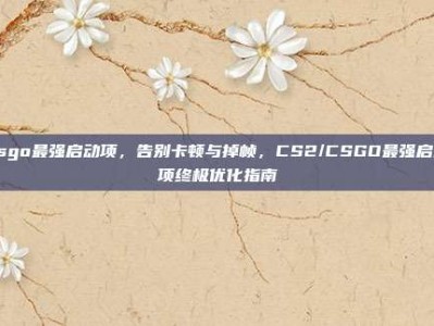 csgo最强启动项，告别卡顿与掉帧，CS2/CSGO最强启动项终极优化指南